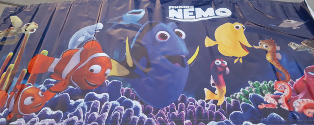 dory bouncer