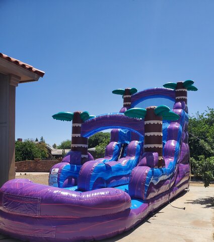 Purple Rush Water Slide