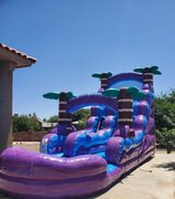 New! Purple Rush Water Slide