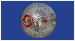 Human Hamster Ball 1 Participant