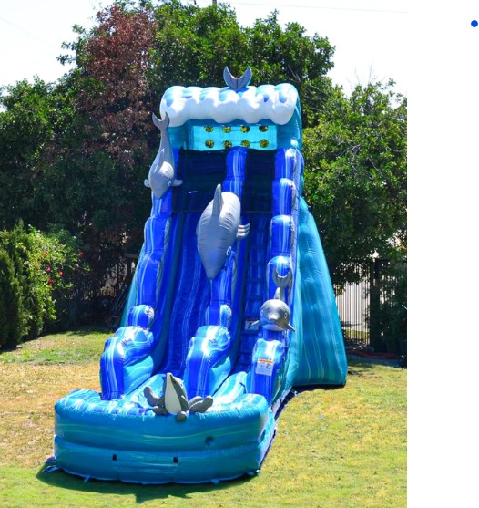20 ft Dolphin Surf POOL