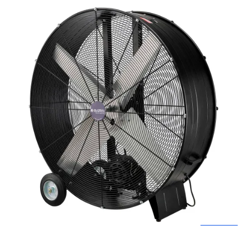 Fan