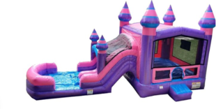 Purplish Dual Lane Combo Water Slide