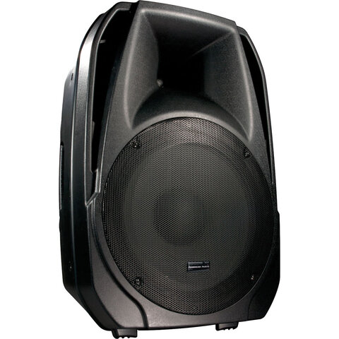 Subwoofer w/ 2 Speakers & Mic/Mixer