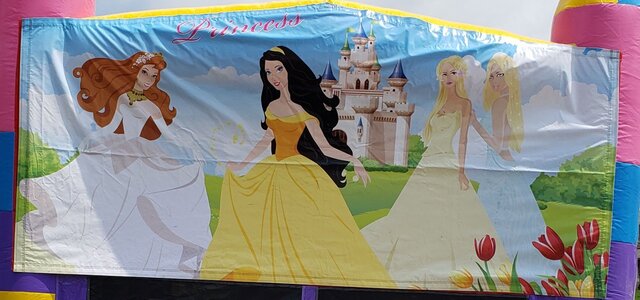 Princess Banner