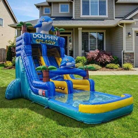 18FT Dolphin Splash Water Slide