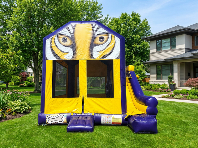 LSU Tiger Bouncer 