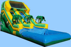 tropical slide with pool