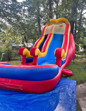 18' Water Slide ( Wet or Dry ) 