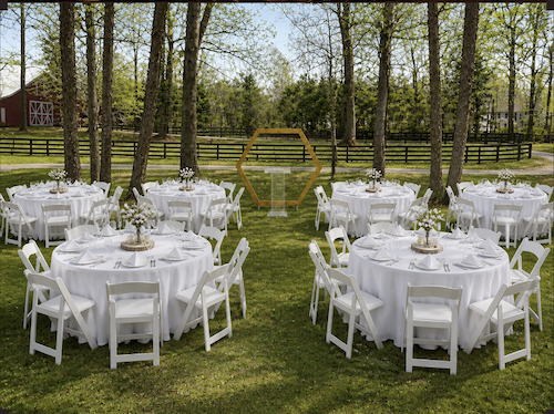 48 Person No Tent Birthday Package - Round Tables