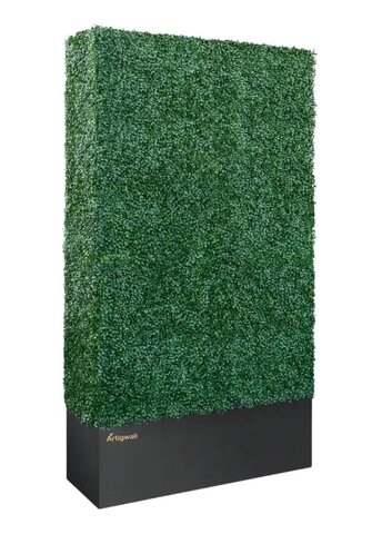 Boxwood Hedge Wall