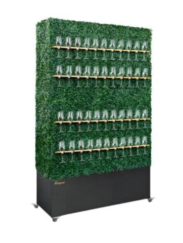 Boxwood Hedge Champagne Wall