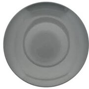 Gray 10 1/2" Dinner Plate (Set of 10)