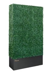 Boxwood Hedge Wall