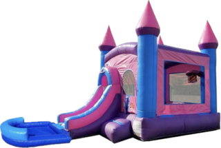 Pink Castle Combo (Wet/Dry)