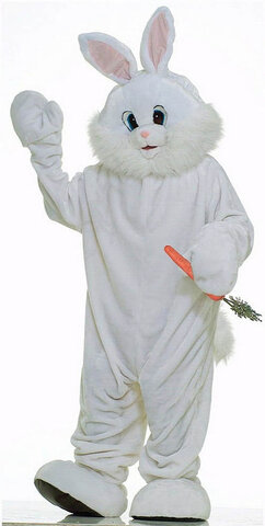 Easter Bunny Costume