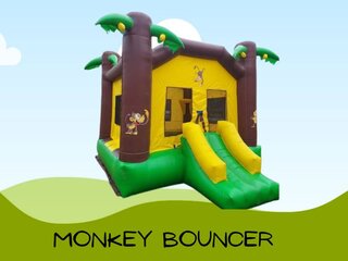 Monkey Bouncer