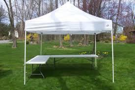 10x10 Canopy 