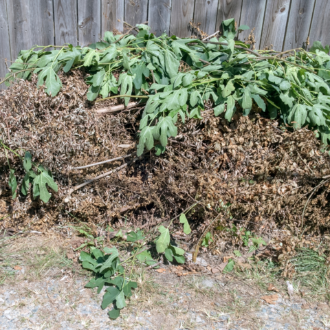 Yard Waste Recycling 