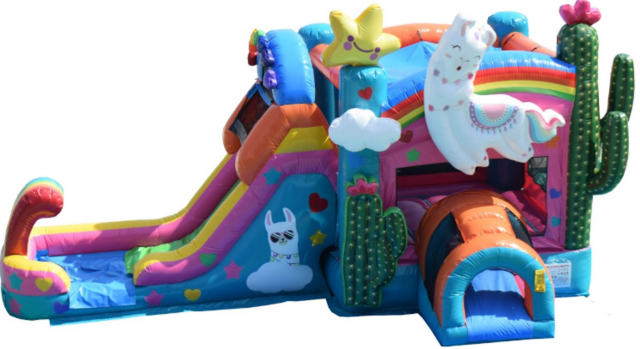 Dry Llama Combo Bounce House with Slide