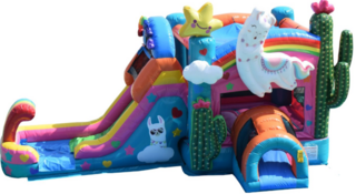Llama Combo Bounce House with Slide (Dry - 4 hr)