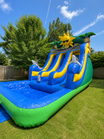 Double dolphin waterslide