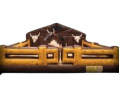 Mechanical Bull