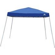 12' x 12' Instant Canopy Tent 