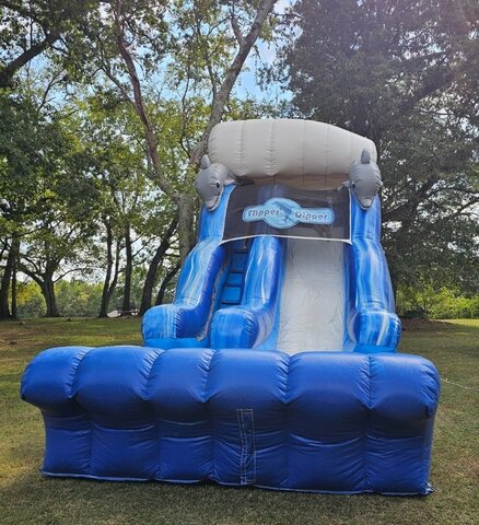 18ft Flipper Dipper Dolphin Wet or Dry Slide