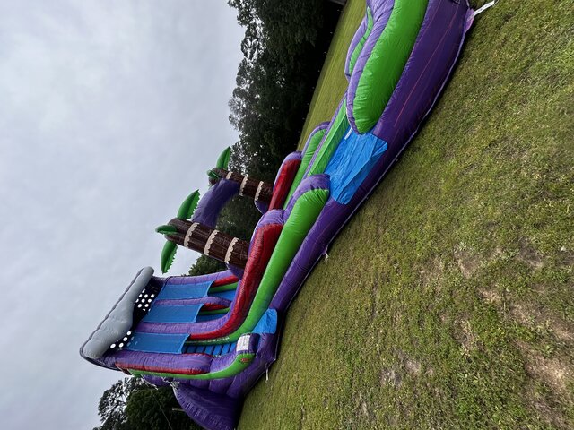 22ft Purple Plummet Water Slide