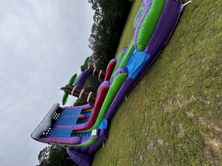 22ft Purple Plummet Water Slide