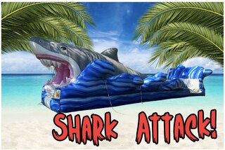 Shark Attack Slip and Slide