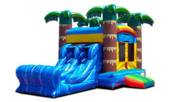 Bounce House and Slide Combos