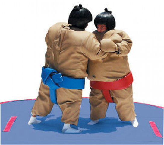 Sumo Wrestling Suits