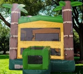 Tropical Bounce House (Dry Only)