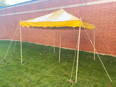 10' X 10' Canopy Tents
