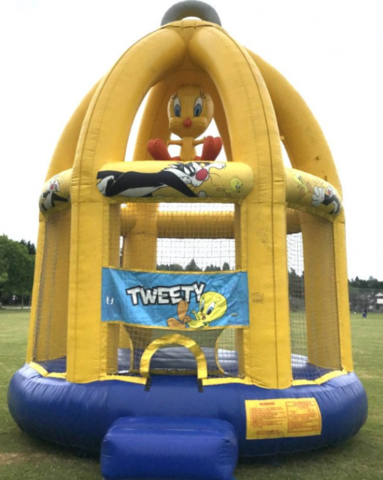 Tweety Bird Bounce House 15 x 15