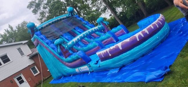 22'' Dual Lane Jelly Fish Water Slide