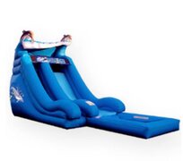 18' Dolphin Water Slide with Pool