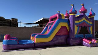 Dual Pink and Purple Wet/Dry Combo