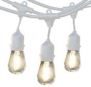 Edison String Lights (White)