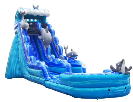 Dolphin 22Foot Tall Waterslide - 40Feet Long