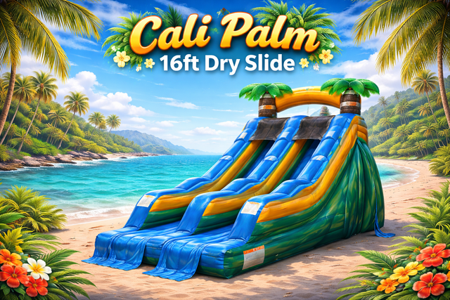 16ft Cali Palm dry slide