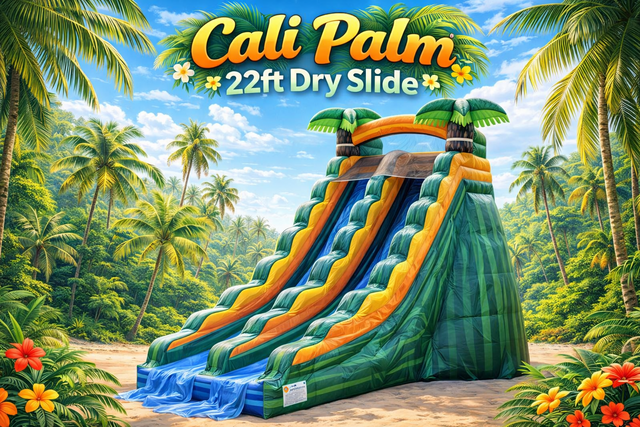 22ft Cali Palm Dry Slide