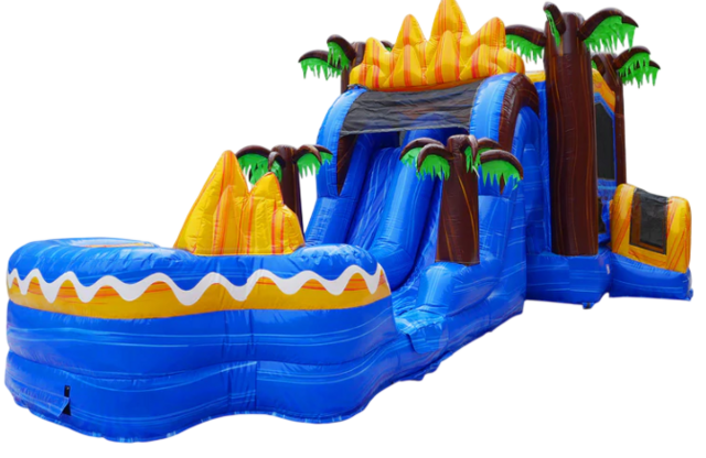 Oasis Dual Lane Dry Combo Large Slide