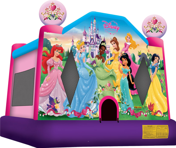 Disney princess 13x13 Bouncer