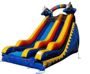 18ft Dolphin dry Slide