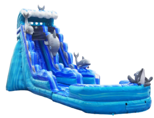 Dolphin 22Foot Tall Waterslide - 40Feet Long
