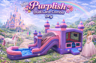 Purplish Dual Lane Dry Combo Slide