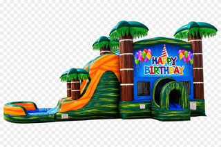 Happy Birthday Cali Palm Dual Lane Dry Combo Large Slide